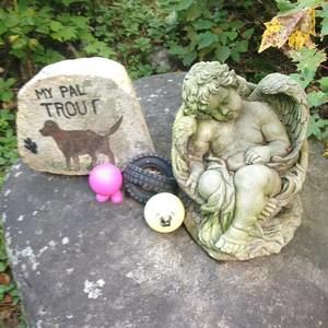 Meet your Posher, Frank